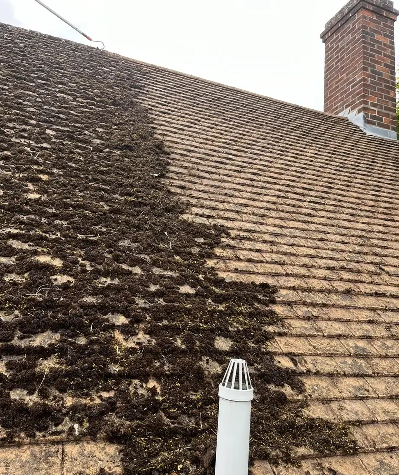 Tiled roof part way through cleaning, thick moss on one side and clean tiles on the other